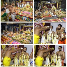  Jyeshtabhishekam Tirumala 2024